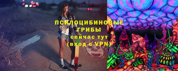 амф Алексеевка