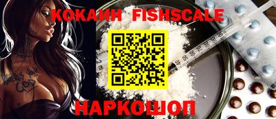 a pvp Камышлов