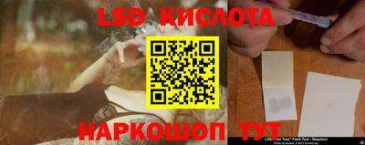 a pvp Камышлов