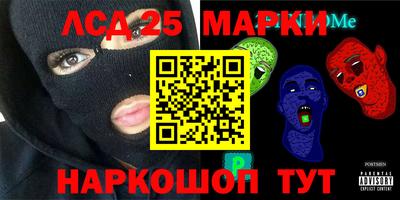 a pvp Камышлов