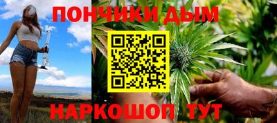 a pvp Камышлов