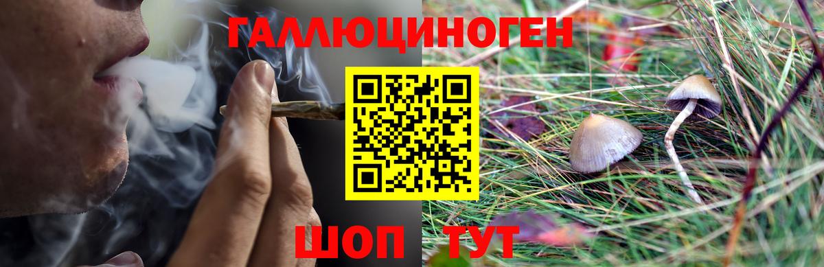 Псилоцибиновые грибы Cubensis  Вход с VPN  Лесной  Галлюциногенные грибы ЛСД 